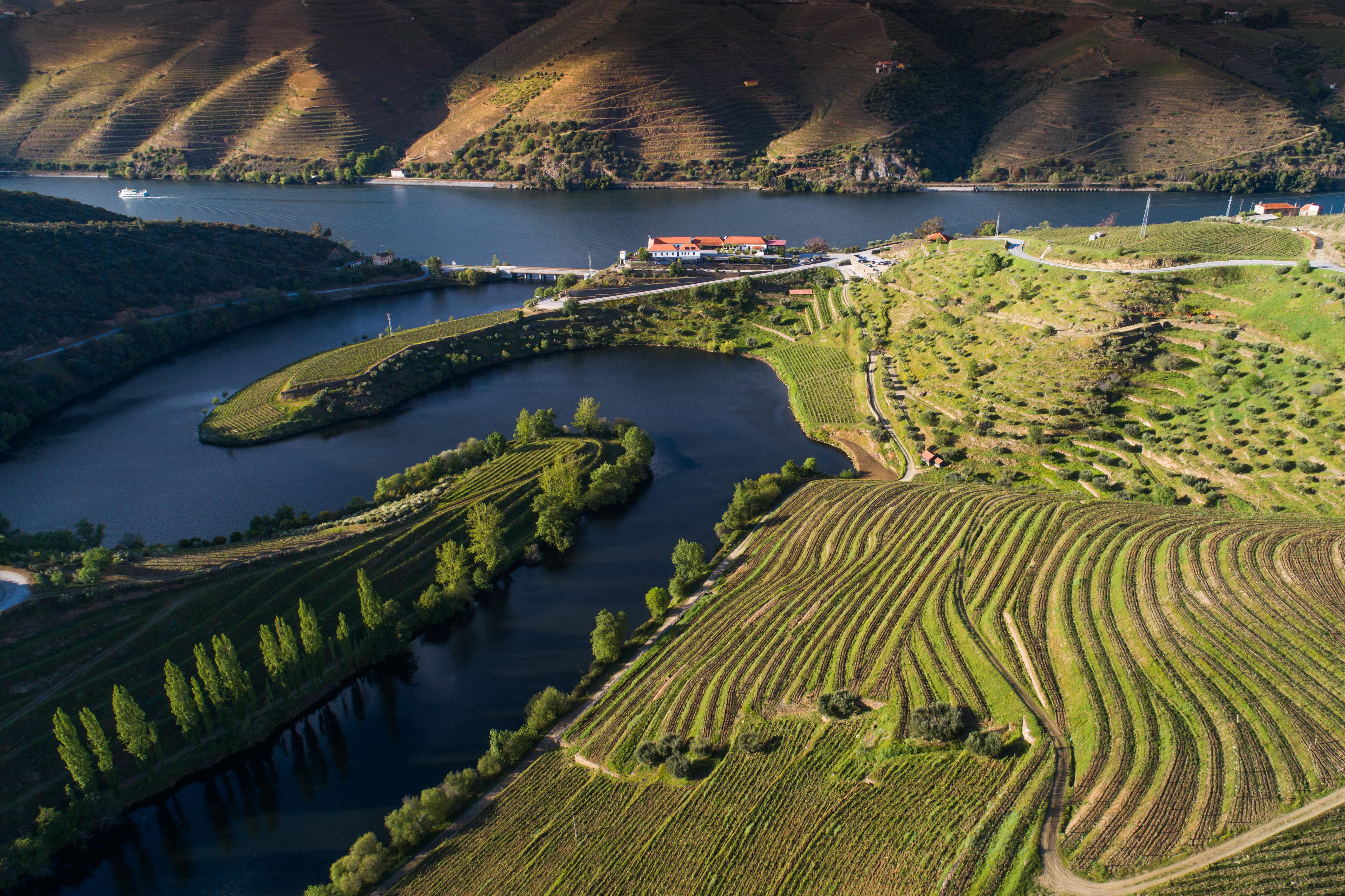 Vila Gale Douro Vineyards Armamar Exteriör bild