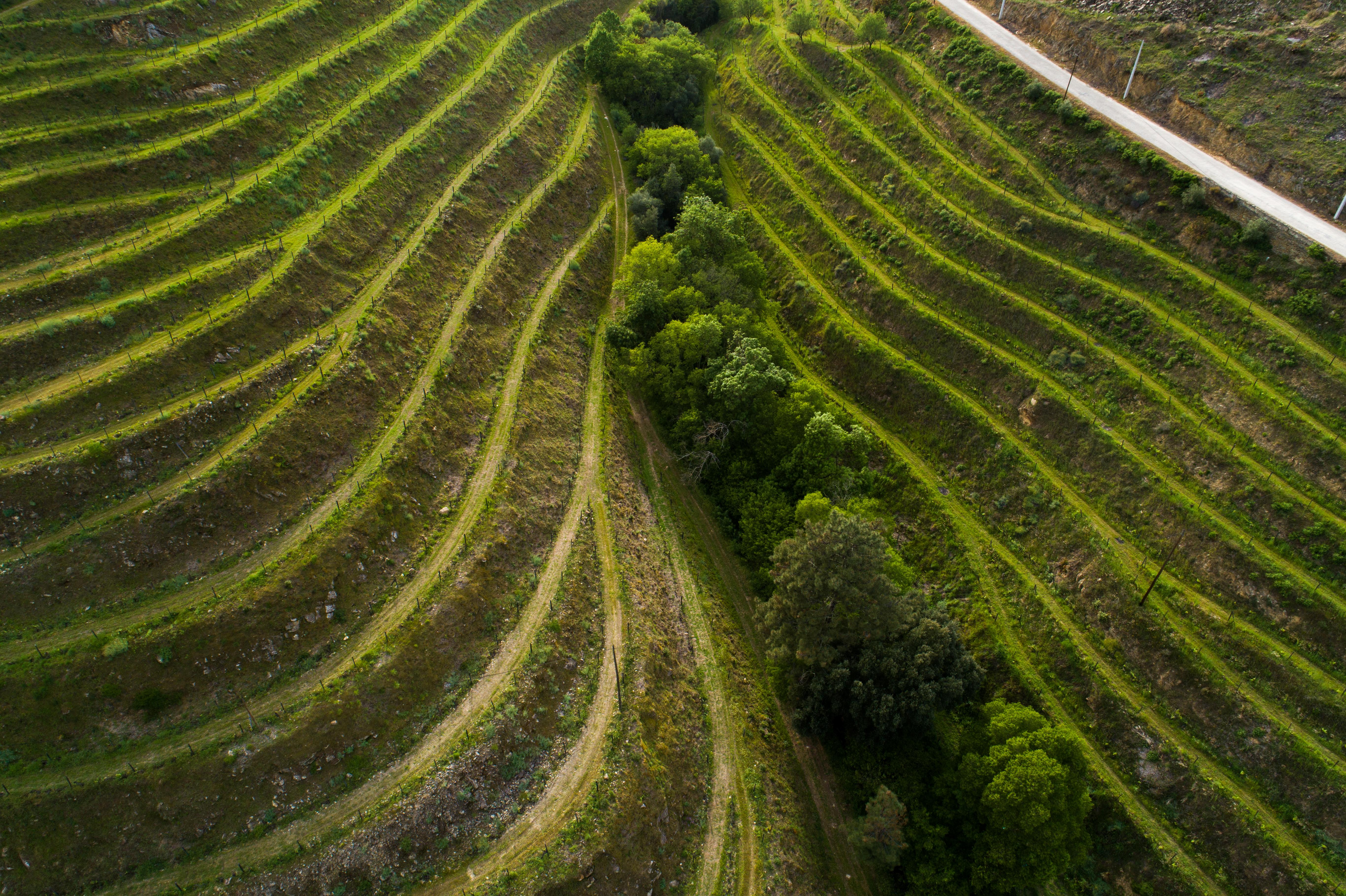 Vila Gale Douro Vineyards Armamar Exteriör bild