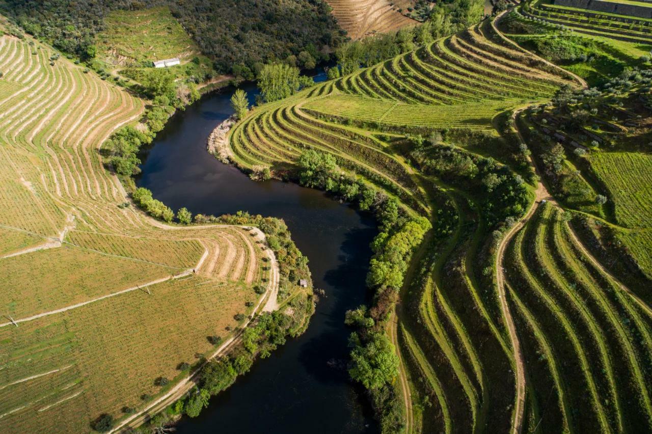 Vila Gale Douro Vineyards Armamar Exteriör bild